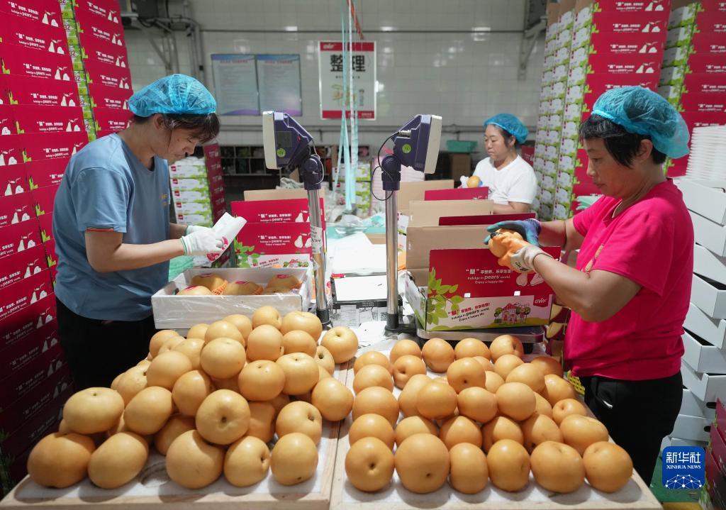 免费炸三张金花游戏下载豆子